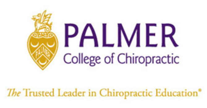 Palmer College Gallup Report image