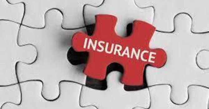 Insurance Policy image